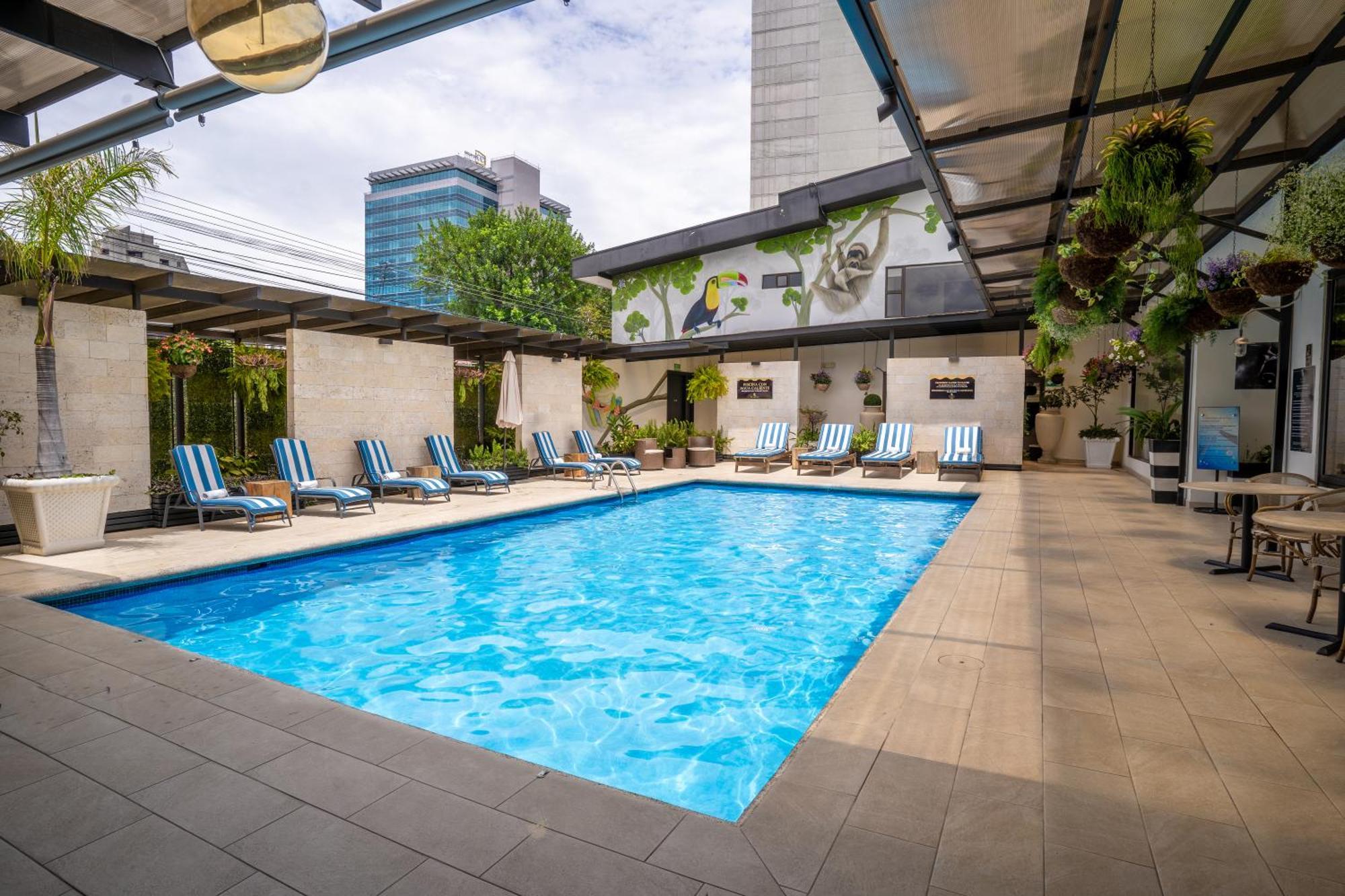 Kc Hotel San José